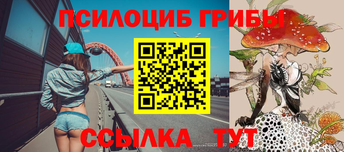 Ижевск  Галлюциногенные грибы ЛСД  Вход с VPN 